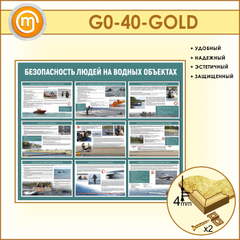       (GO-40-GOLD)